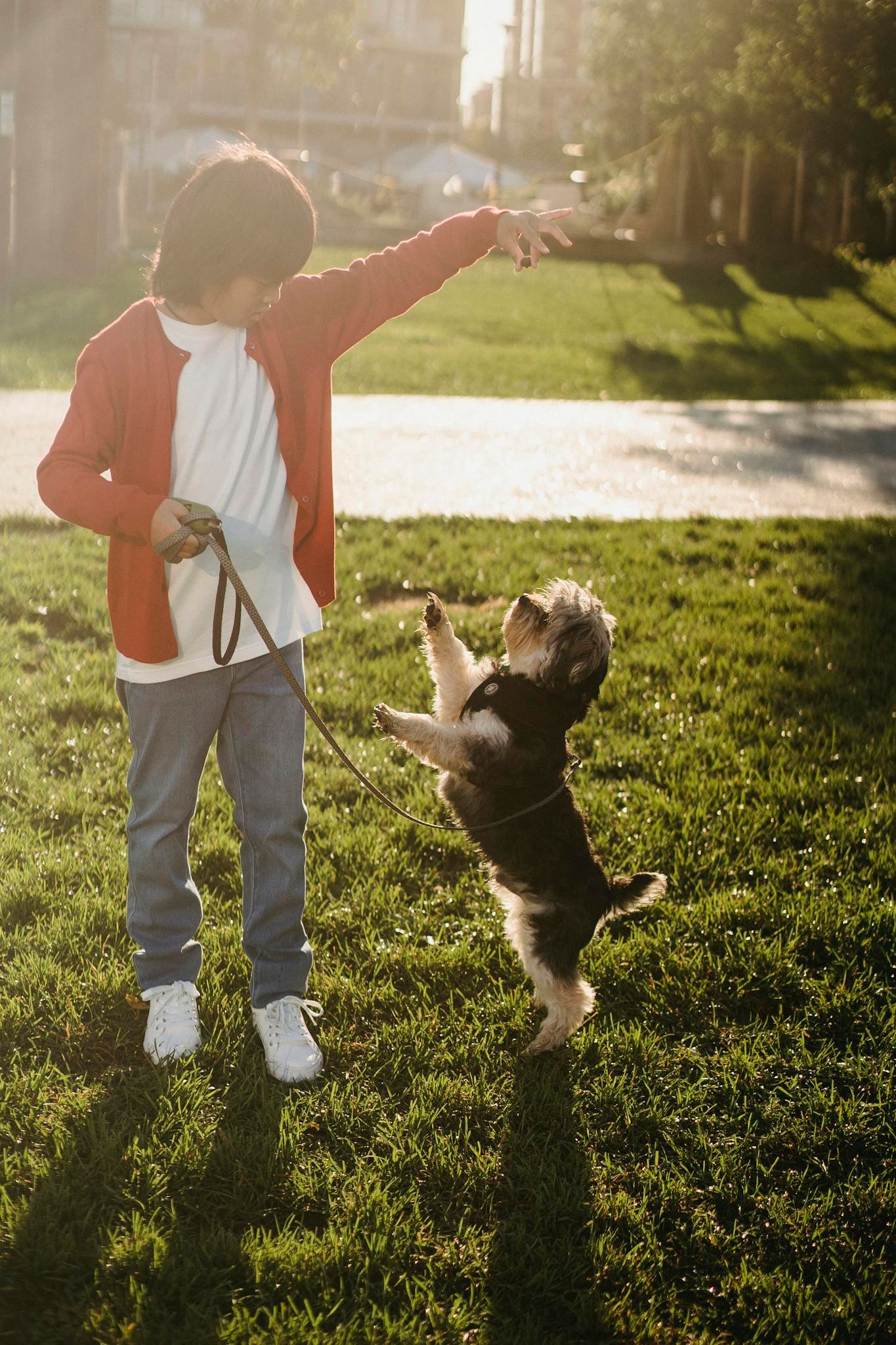 anonymous asian kid showing command to dog